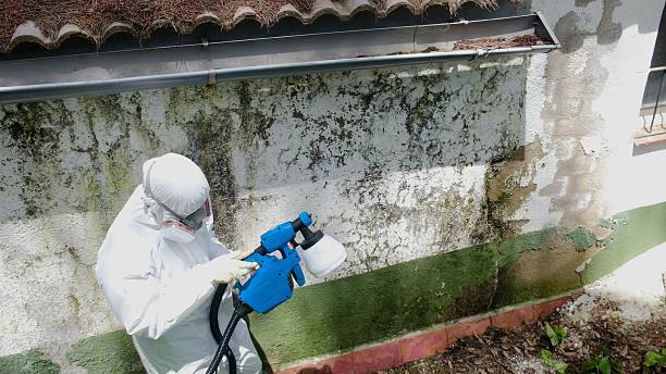 Trusted Crawl Space Mold Removal service in Neelyton, PA - Cheap Mold Removal